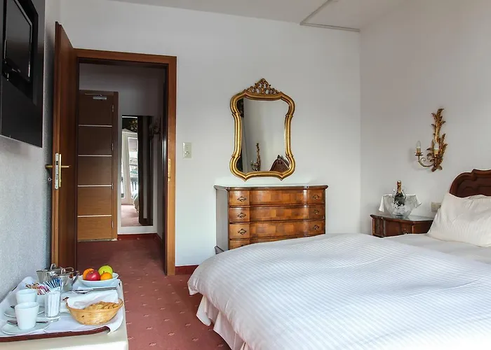 ホテル チロル アルペンホフ 3*