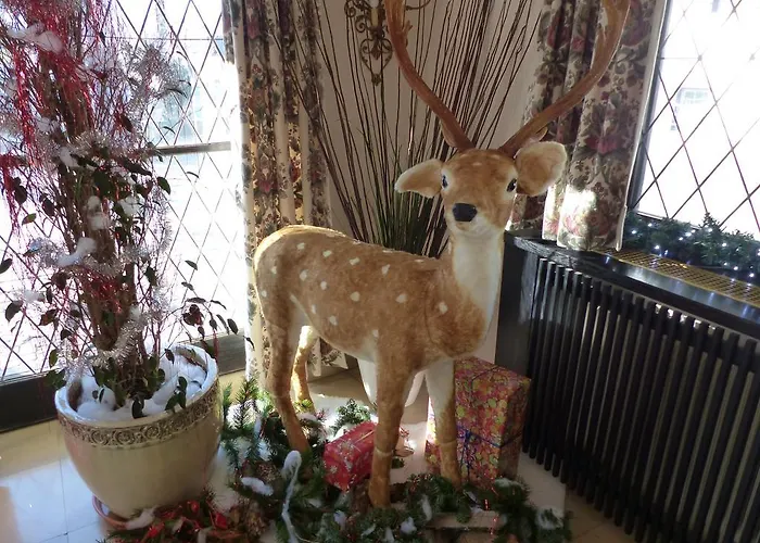 Hotel Tyrol-Alpenhof Seefeld in Tirol